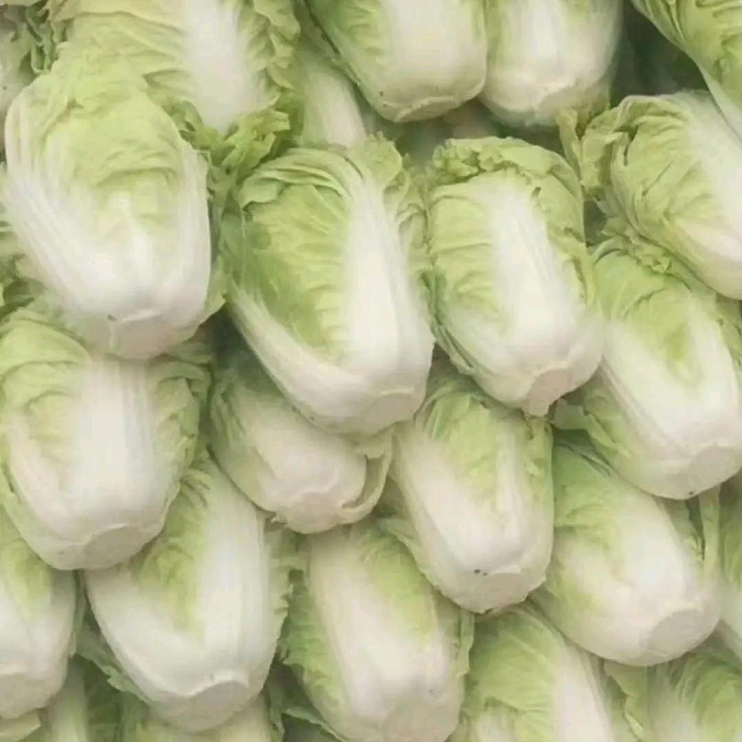 厚德载福