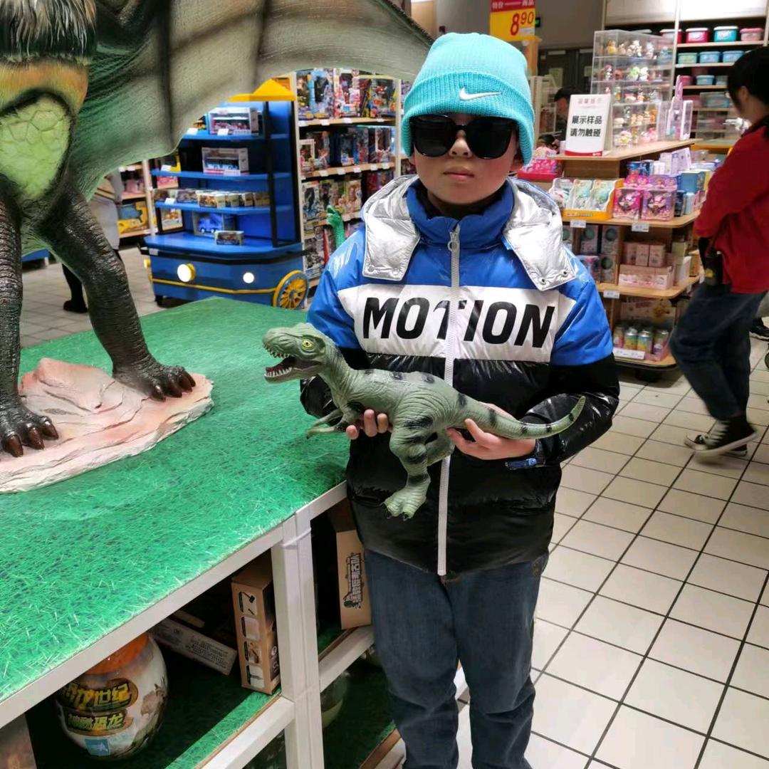 无敌暴龙勇士@丁