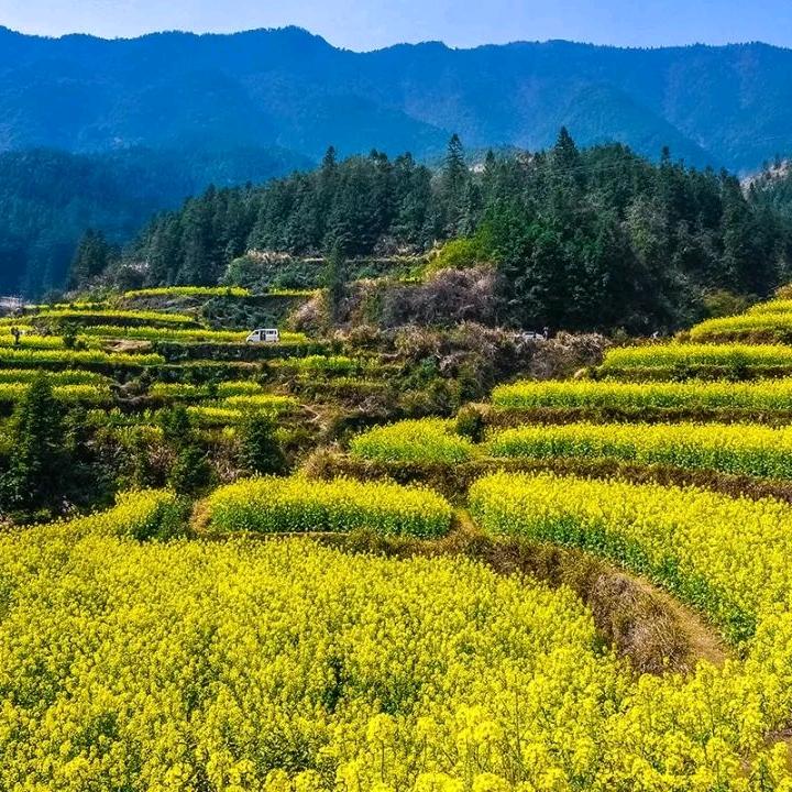 沃夫特复合肥有限公司