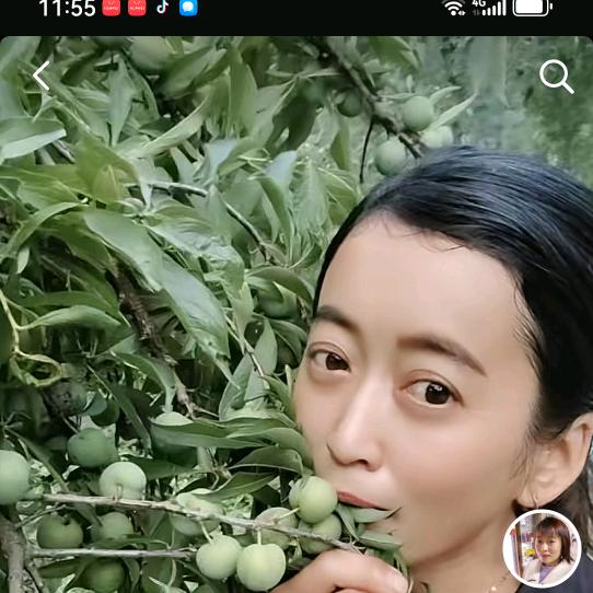 忘🌹掉过去