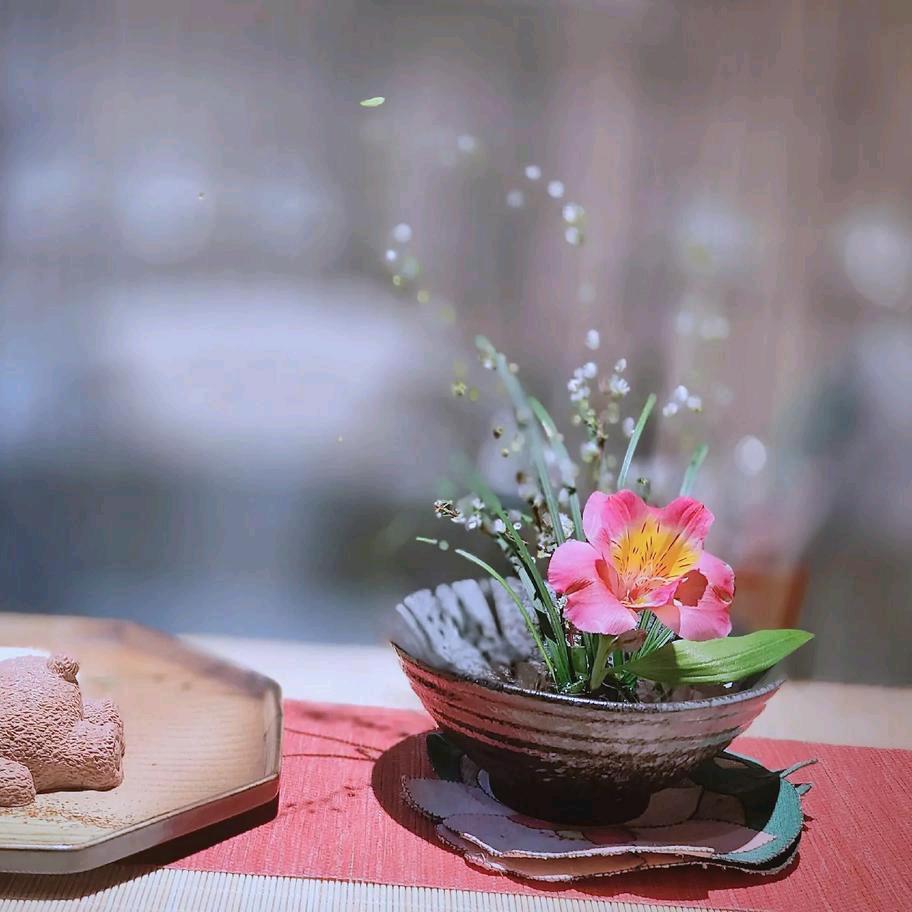 生活解忧铺