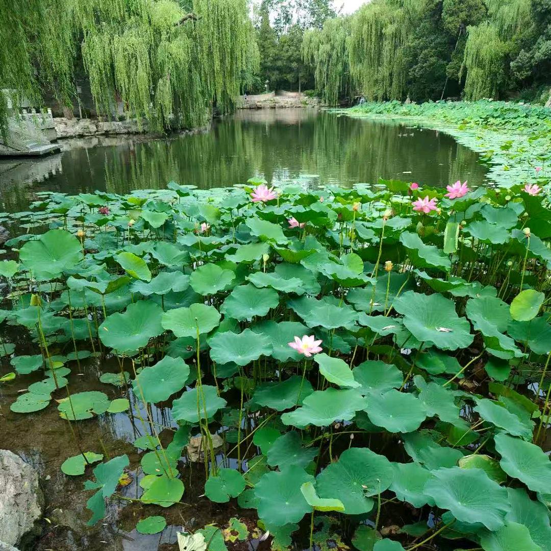 🍀🍀温柔坚持🍀🍀