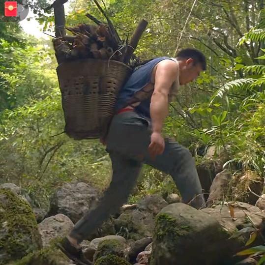 寻千山（野山花蜂蜜）