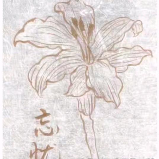 忘忧草