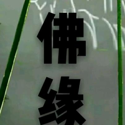 💗᭄慈缘ᝰᩚ善行ꦿ໌ᮨ