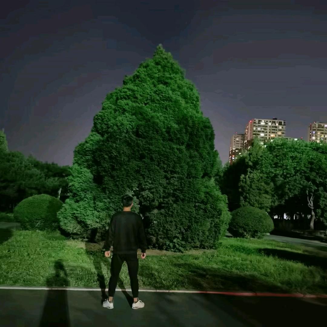天齿龙