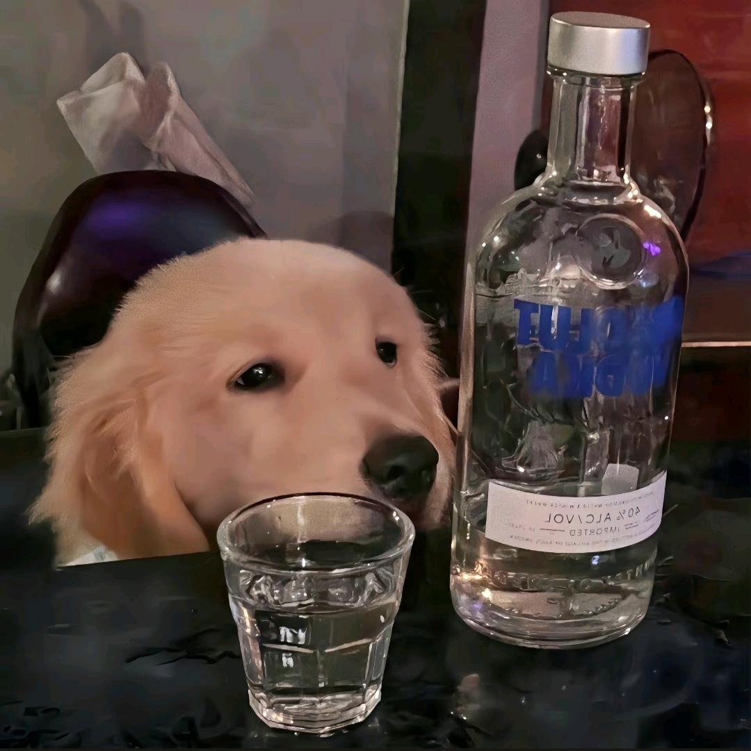酒香渡余生