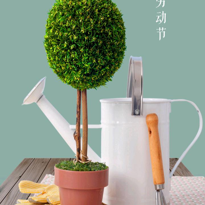 山城