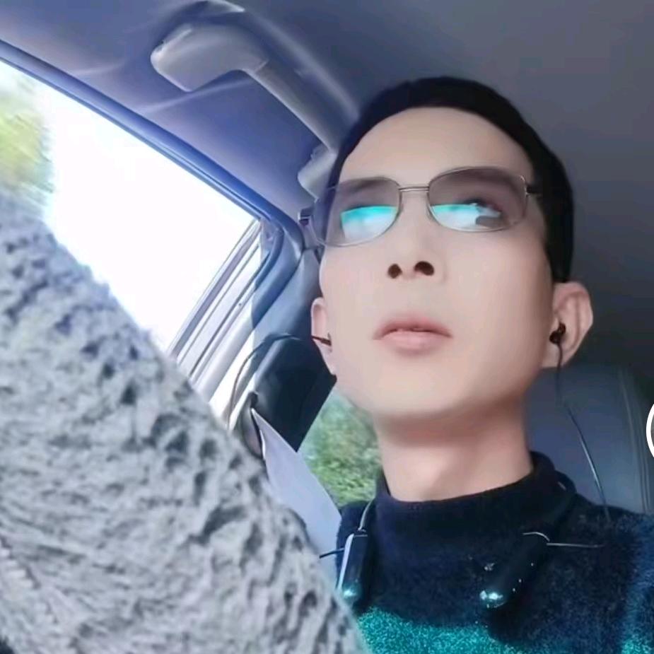 一剑平天柳