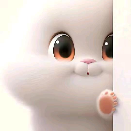 🥀⃟遗憾收场໑ຼ₀₂₄ღ᭄