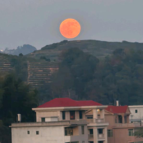 志洲优选