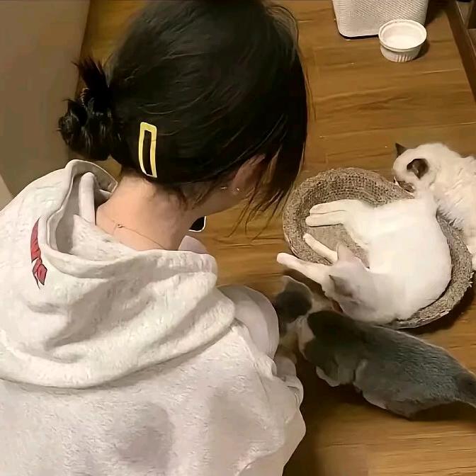 冬至