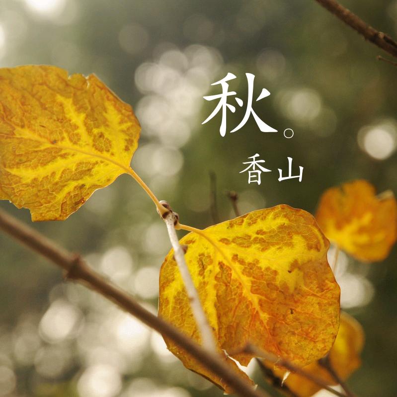 日暮温柔