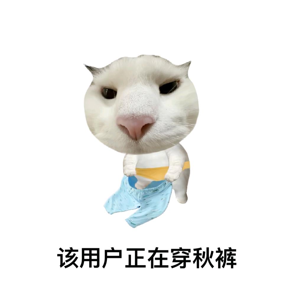 用户138458672726802824