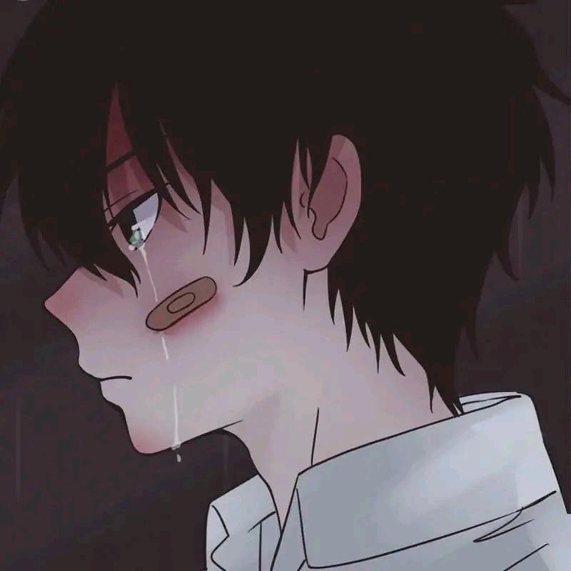 @꧁锶✨鲶✨࿈（陕西人）。