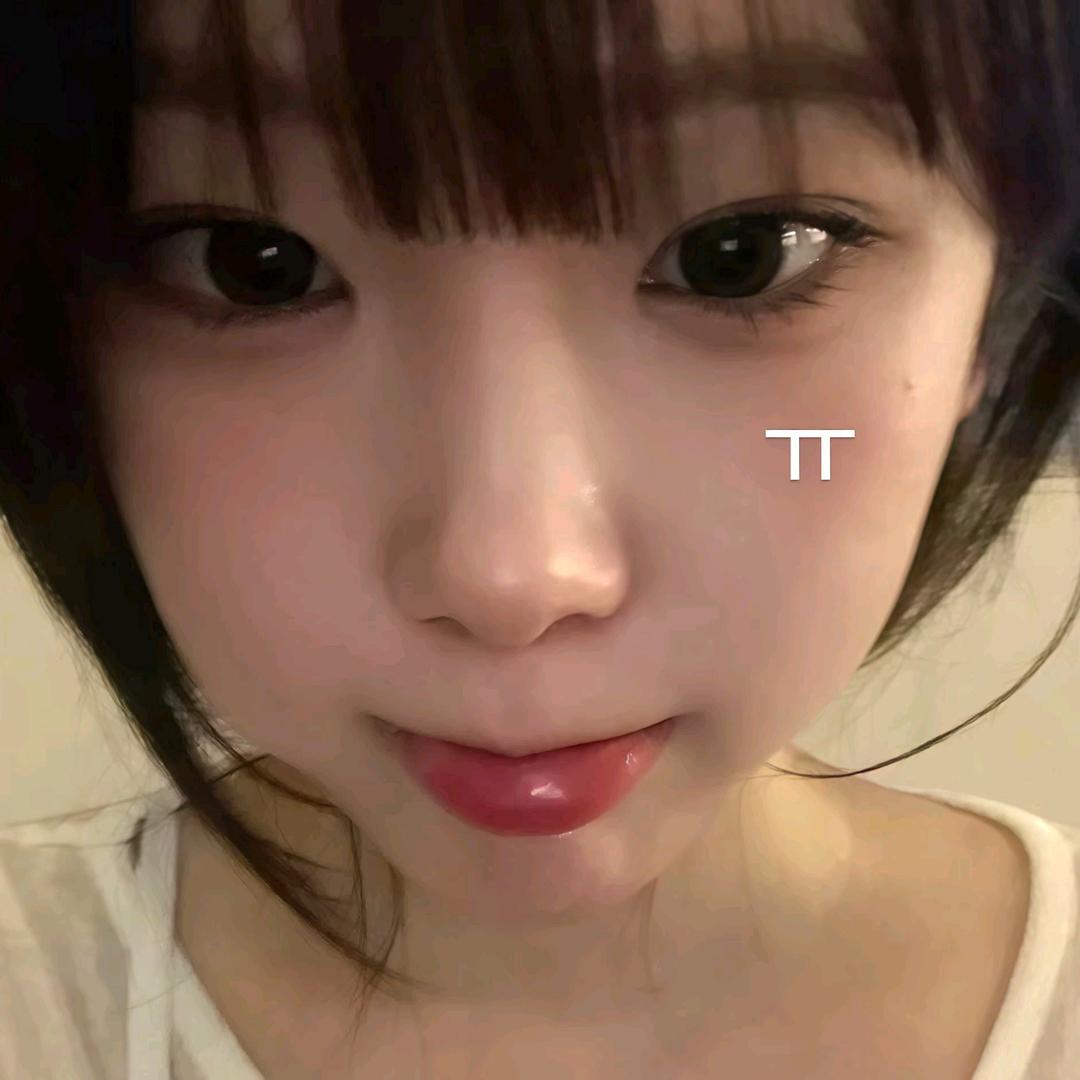 综上所述你是笨蛋