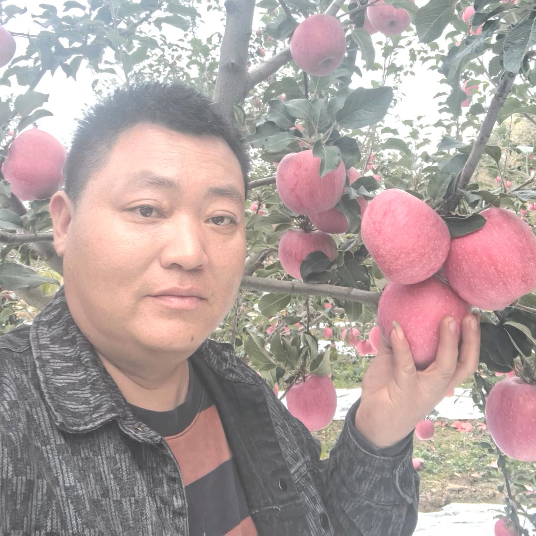 @果然好※卖苹果