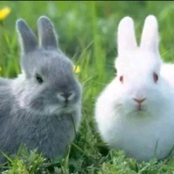 📐人生🔐赢家🌺