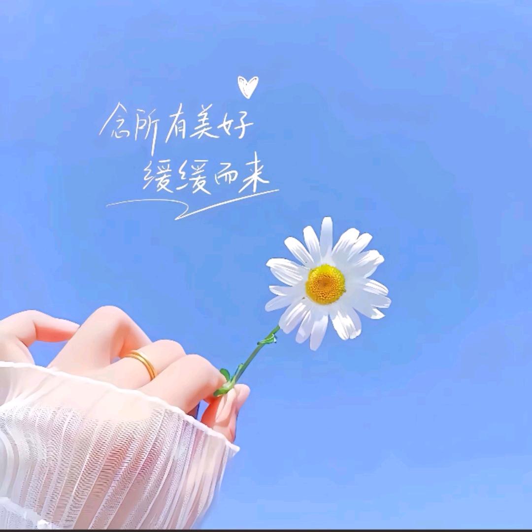 小鱼呀！