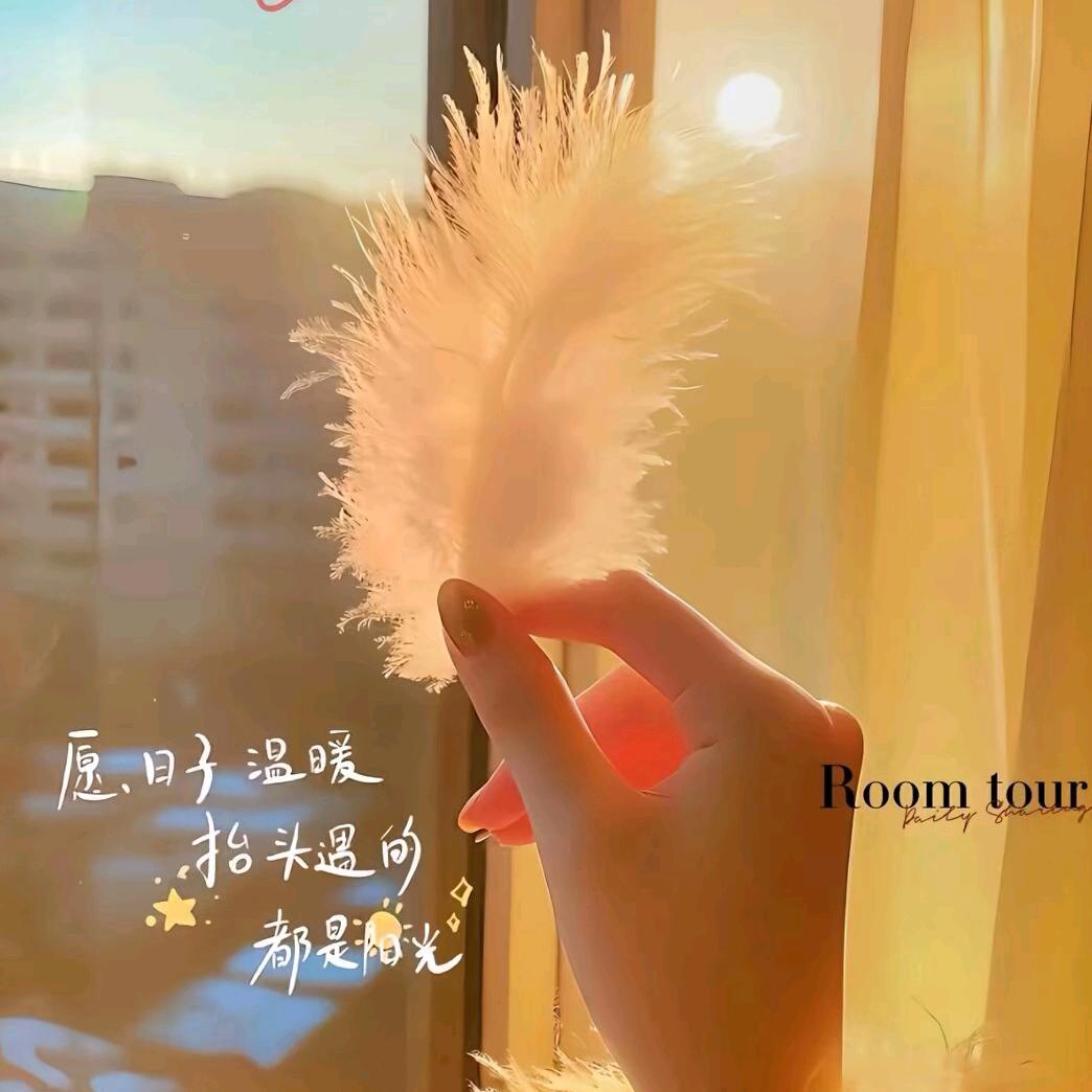 小🐟儿