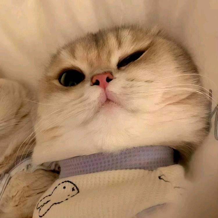 故事会