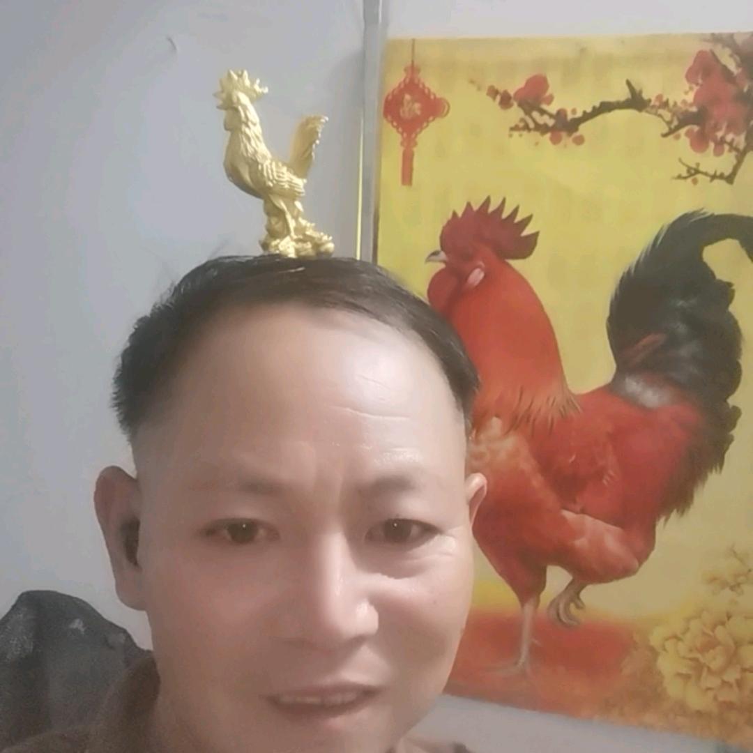 屹云建设有限装饰公司