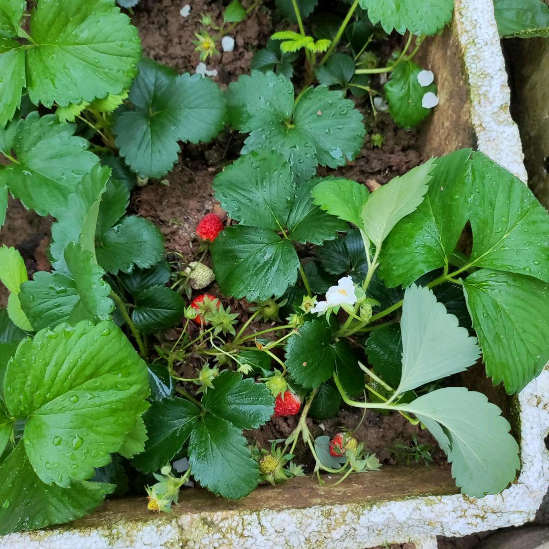 快乐幸福的每一天