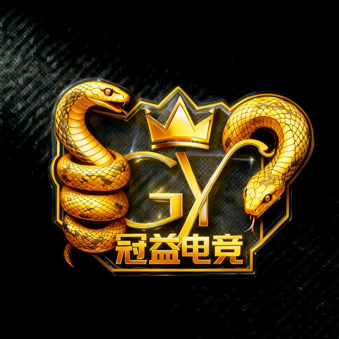 冠益电竞（招打手版）