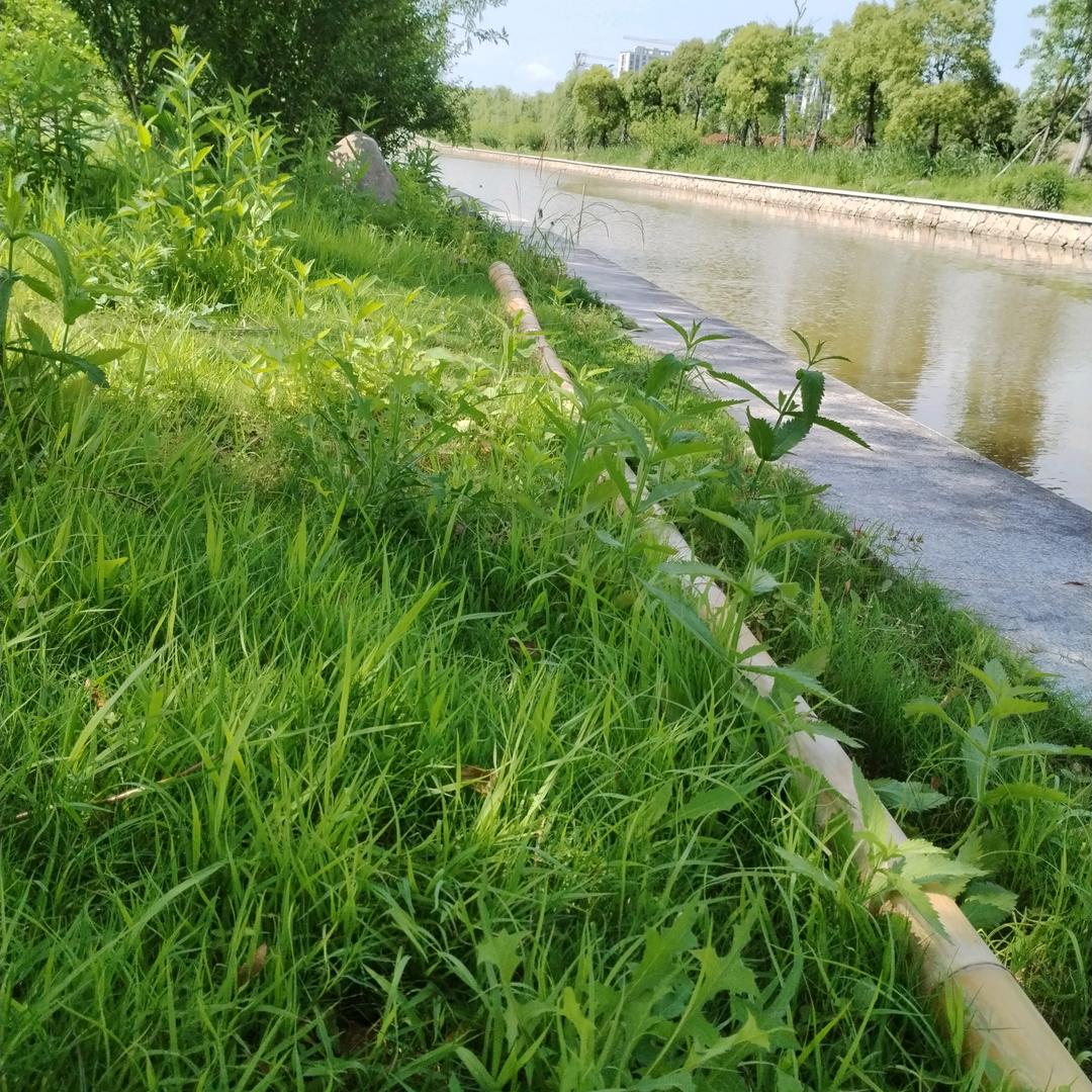 让我轻轻的告诉你