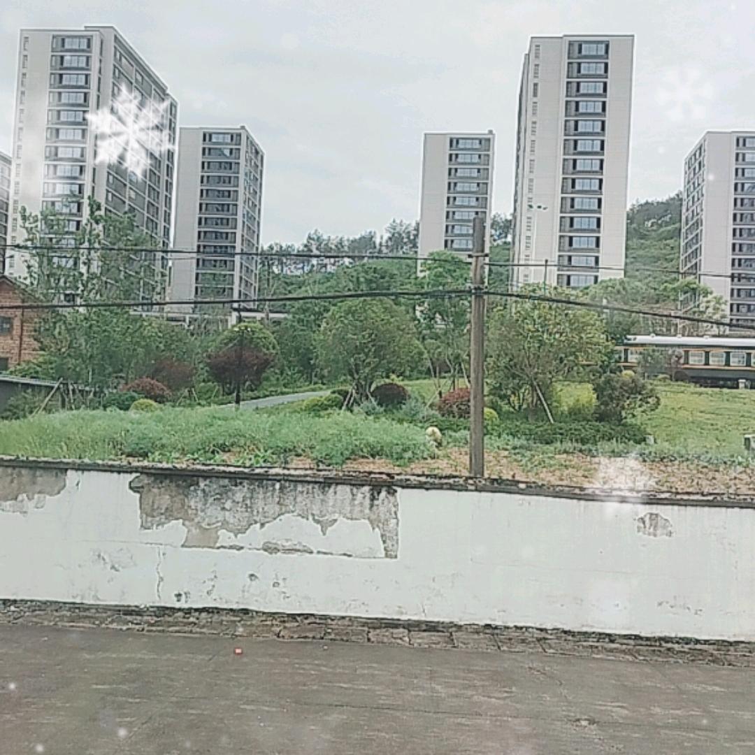 希望怏乐