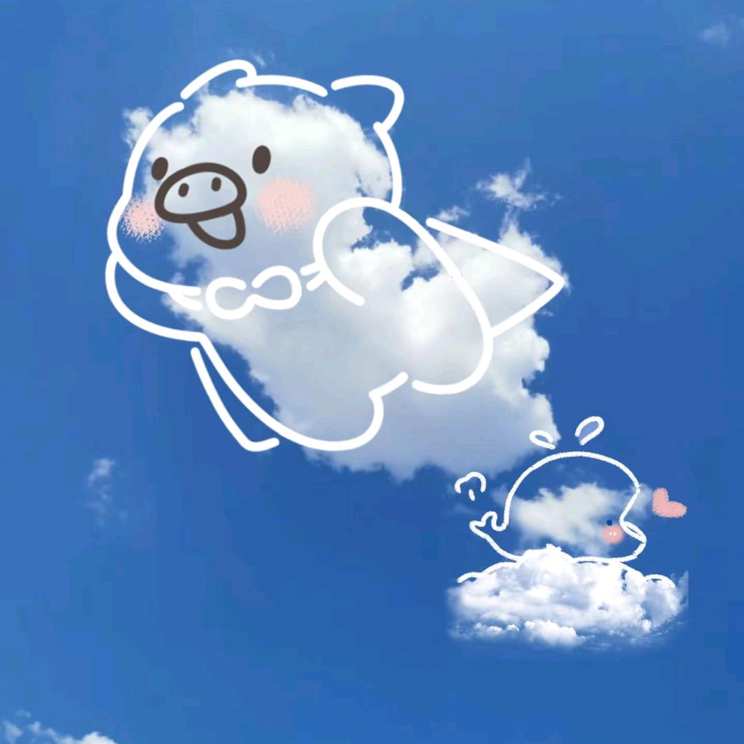 剁椒鲨鱼头🐟