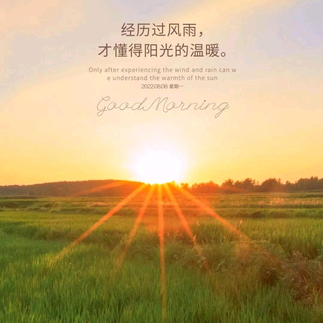 指尖逝年华