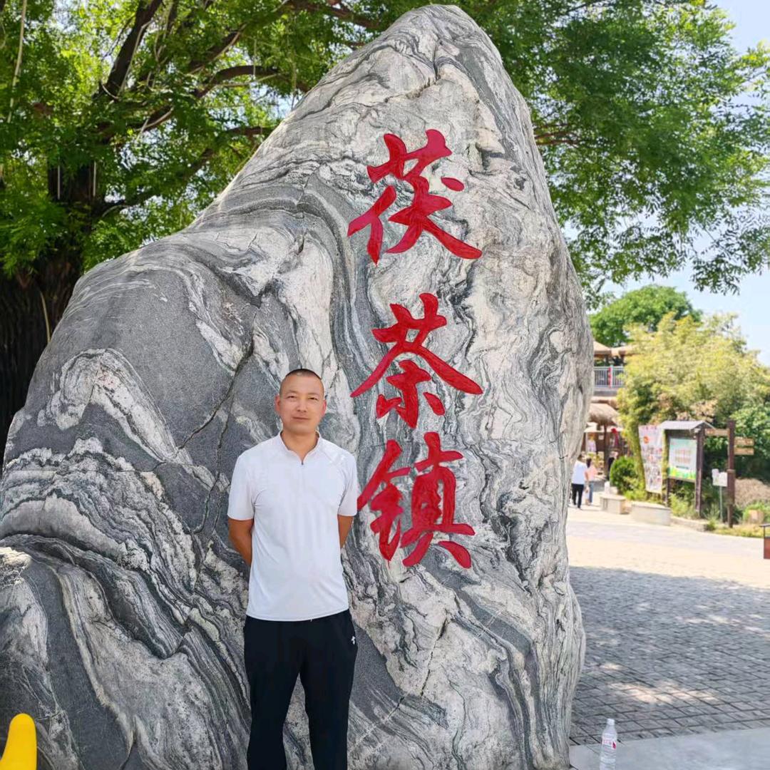 鱿鱼哥木已成林