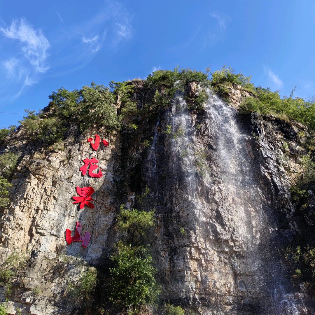 小花果山（三当家）