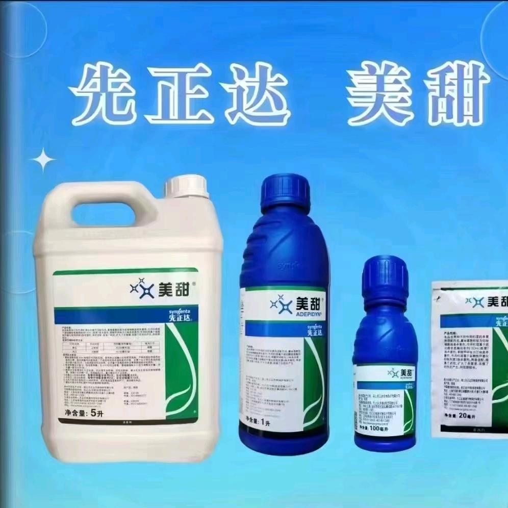 黄宝珍