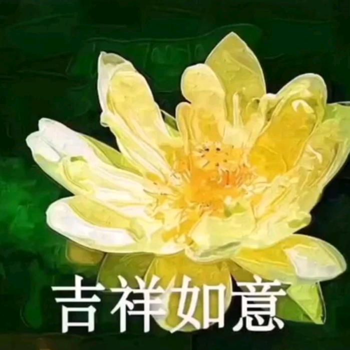 感恩有你