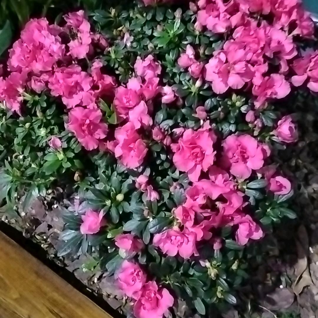 萍水相逢