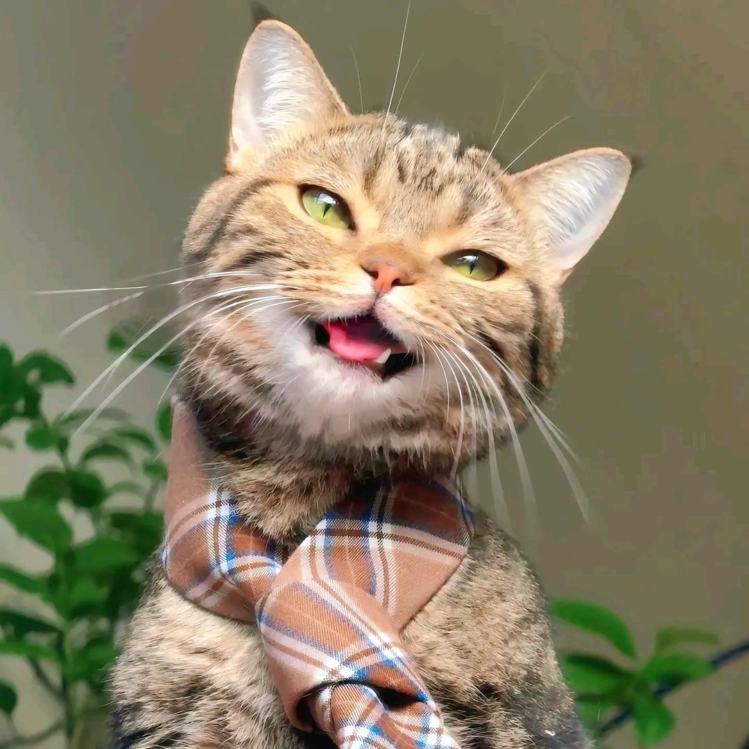 柱柱
