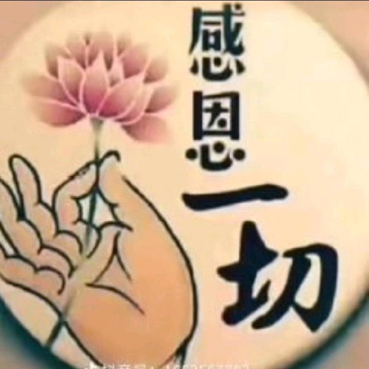 禅悟🙏