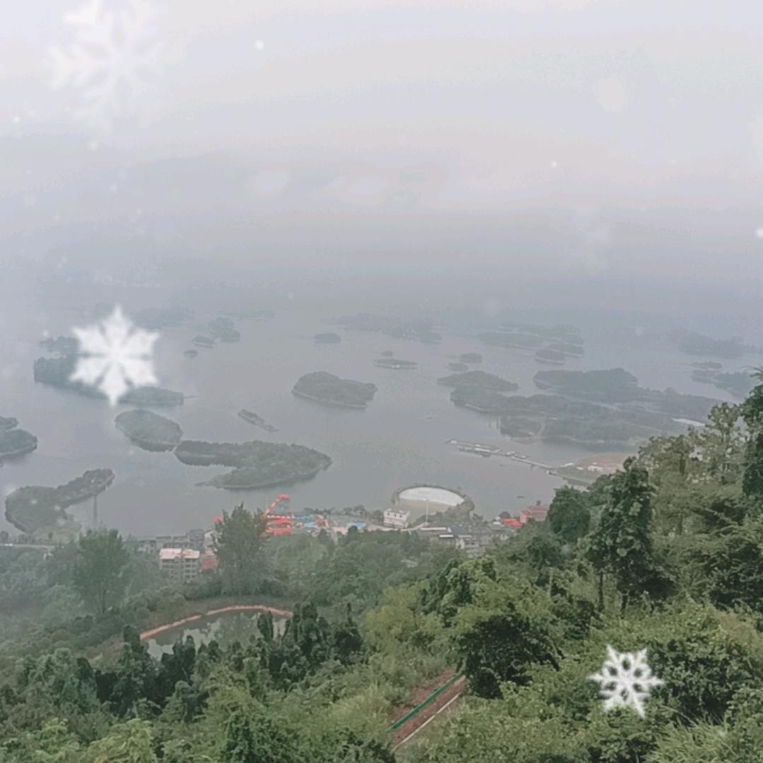 赛林
