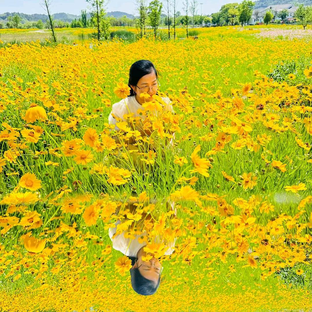 刘姐