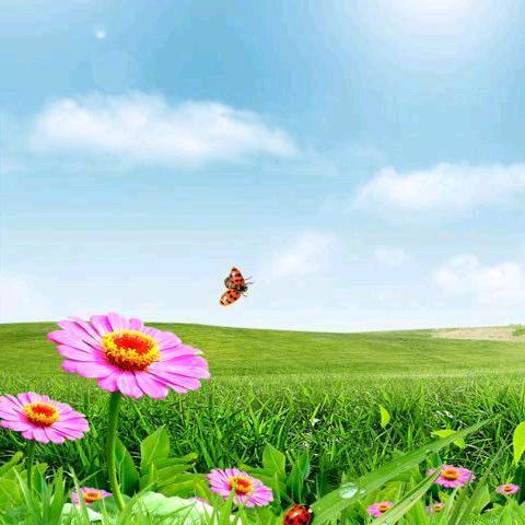 清晨太阳☀️☀️