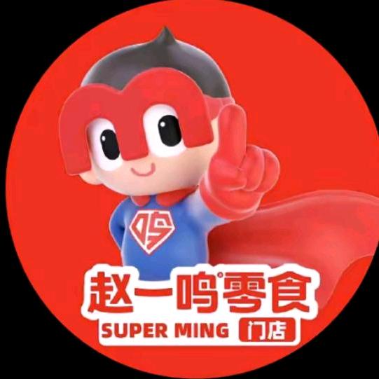 赵一鸣零食（合肥珠光南苑店）