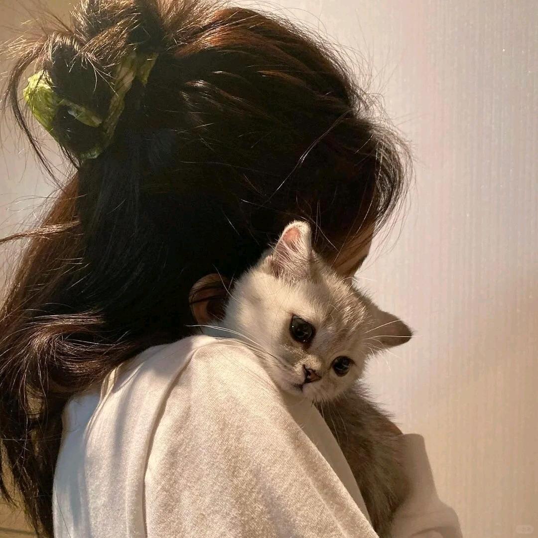 এ抹茶小曲奇ృ