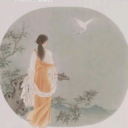 ╭╯☋☛星↶☛慈╰╮☛π皓↷☛月π