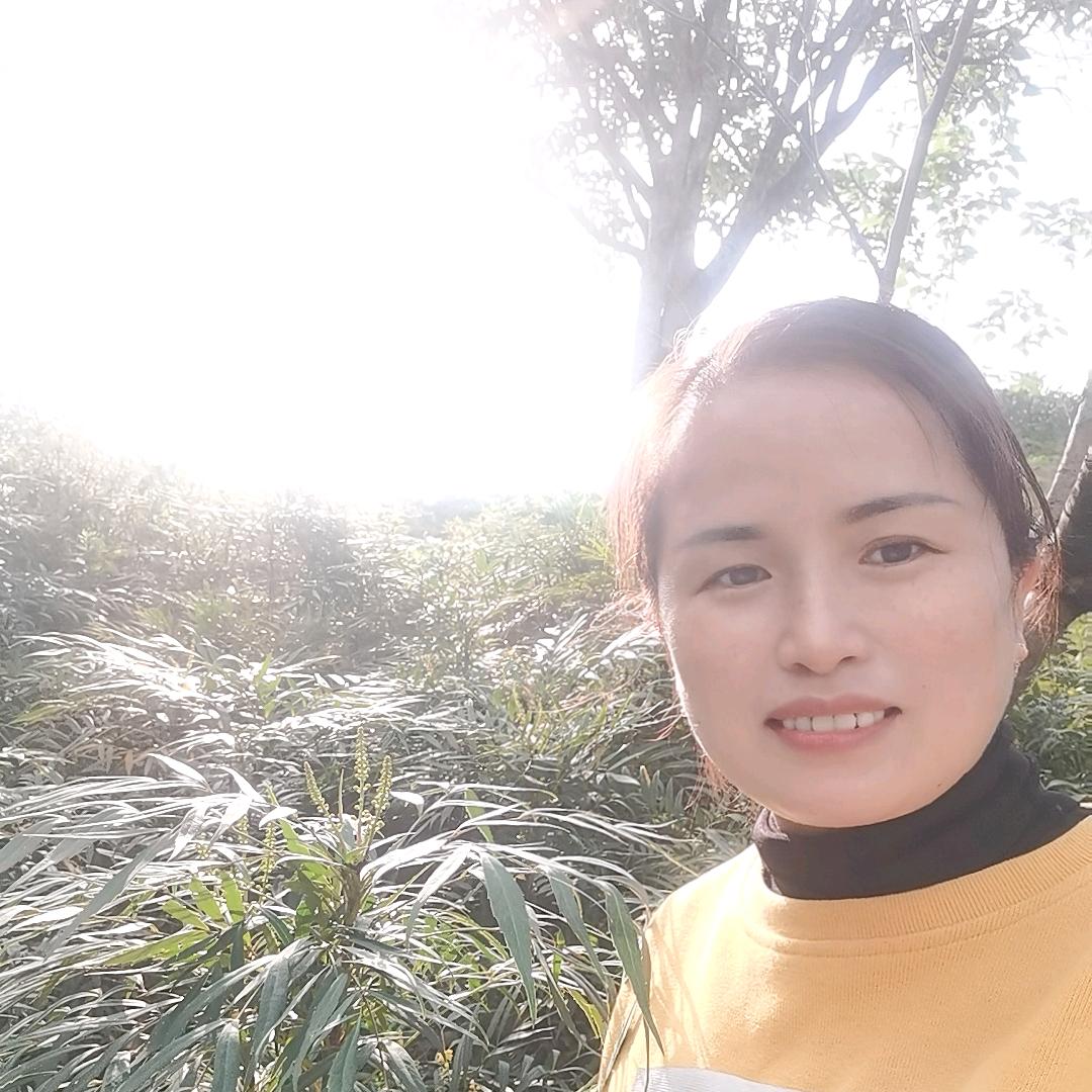 人生如梦