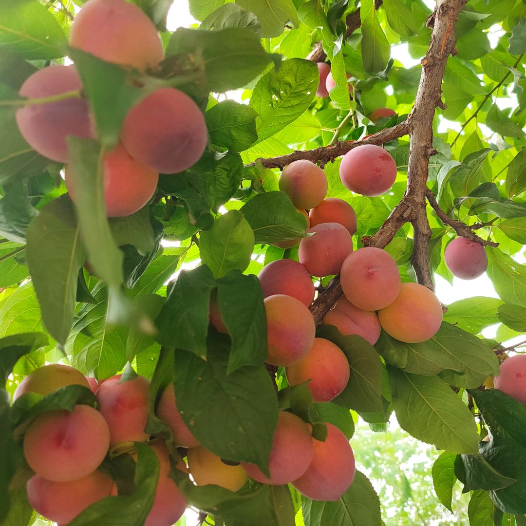 期待《拒聊天》谢绝连赞