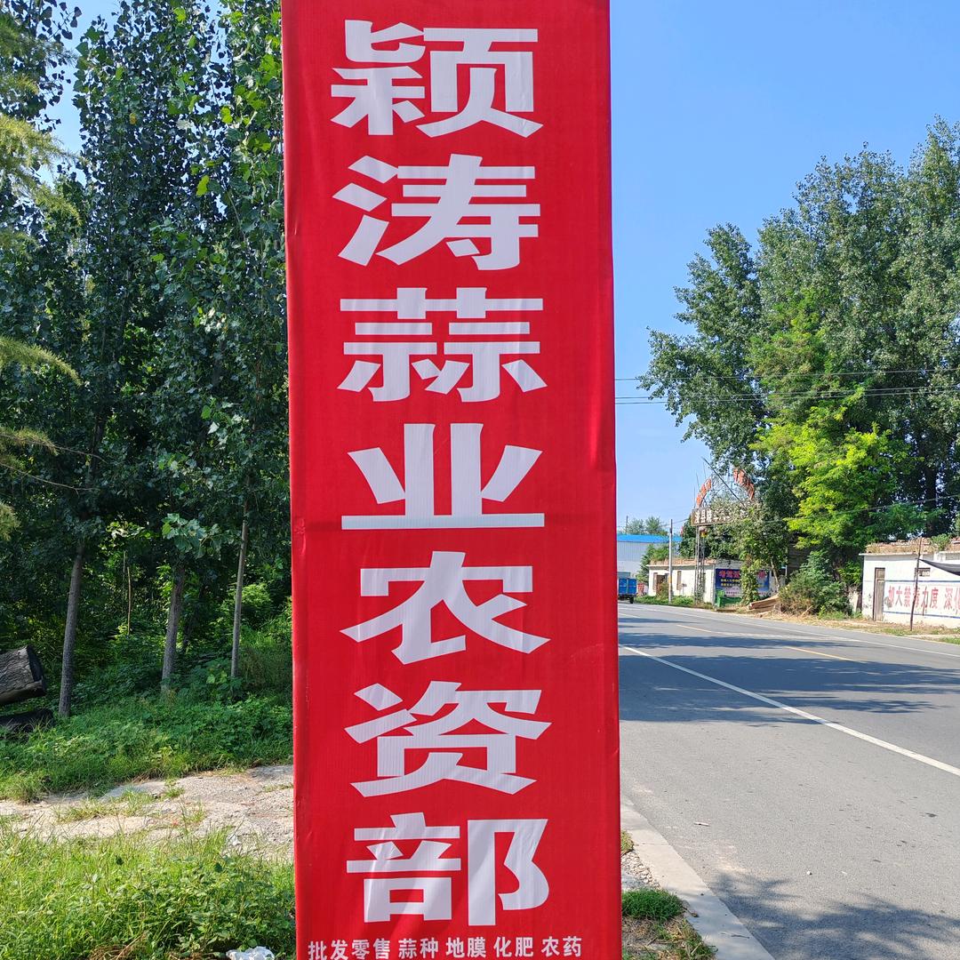 颖涛大蒜合作共赢