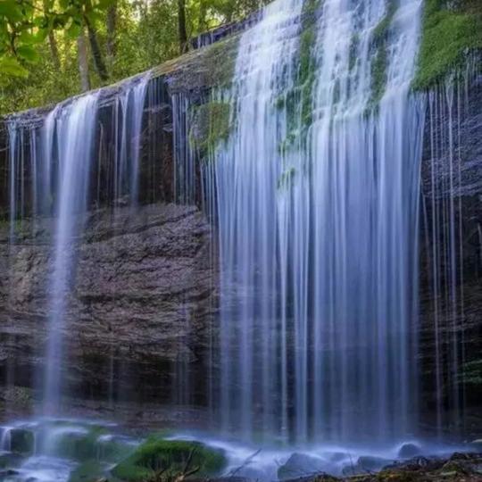 精品黄荆奇石优品坊
