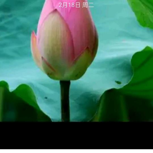 老者